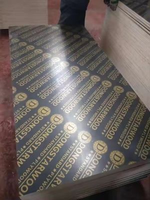 18mm 해양 접착판 소나무 재료 필름 얼굴 접착판 건설용 제한된 제안